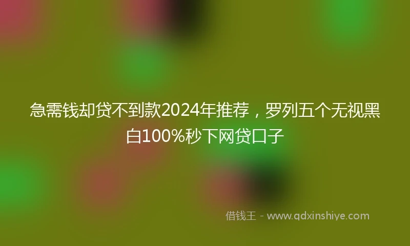 急需钱却贷不到款2024年推荐，罗列五个无视黑白100%秒下网贷口子