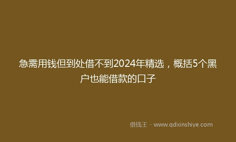 急需用钱但到处借不到2024年精选，概括5个黑户也能借款的口子