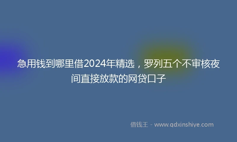 急用钱到哪里借2024年精选，罗列五个不审核夜间直接放款的网贷口子