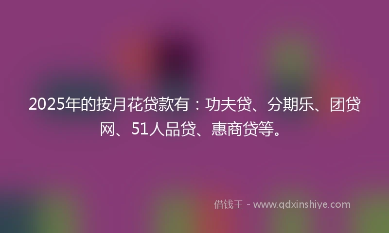2025年的按月花贷款有：功夫贷、分期乐、团贷网、51人品贷、惠商贷等。
