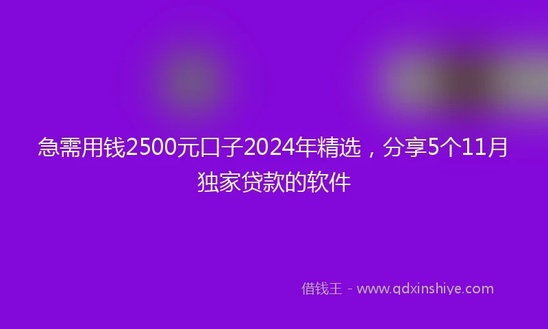急需用钱2500元口子2024年精选，分享5个11月独家贷款的软件