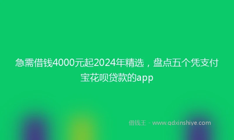 急需借钱4000元起2024年精选，盘点五个凭支付宝花呗贷款的app