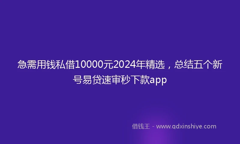急需用钱私借10000元2024年精选，总结五个新号易贷速审秒下款app