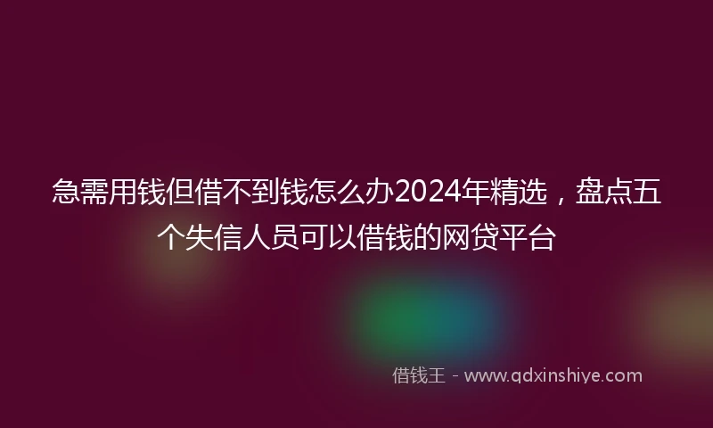 急需用钱但借不到钱怎么办2024年精选，盘点五个失信人员可以借钱的网贷平台