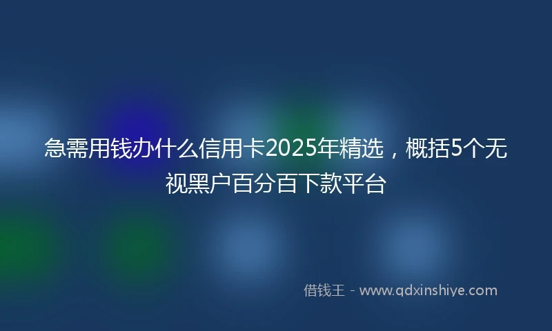 急需用钱办什么信用卡2025年精选，概括5个无视黑户百分百下款平台