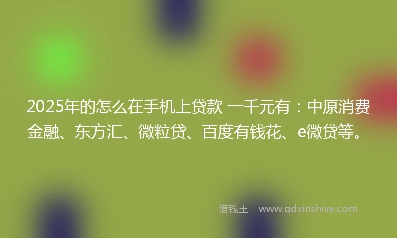 2025年的怎么在手机上贷款 一千元有：中原消费金融、东方汇、微粒贷、百度有钱花、e微贷等。
