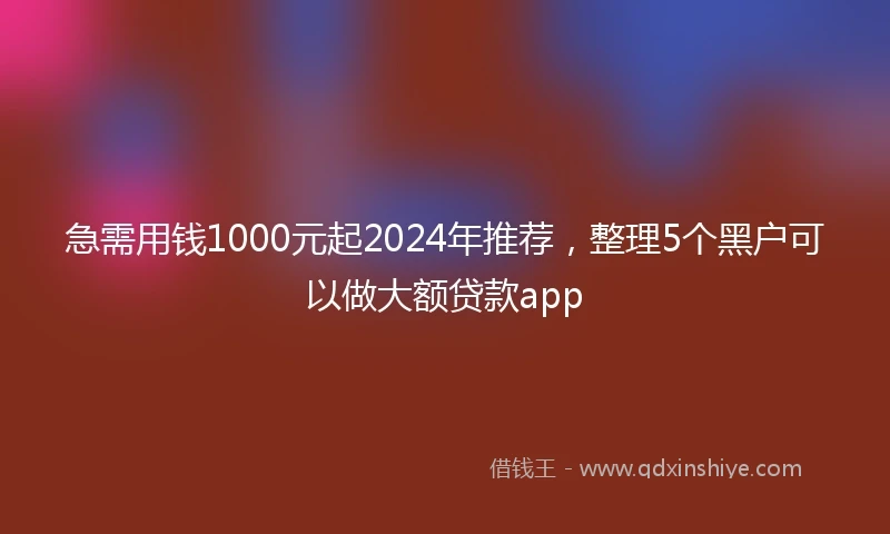 急需用钱1000元起2024年推荐，整理5个黑户可以做大额贷款app