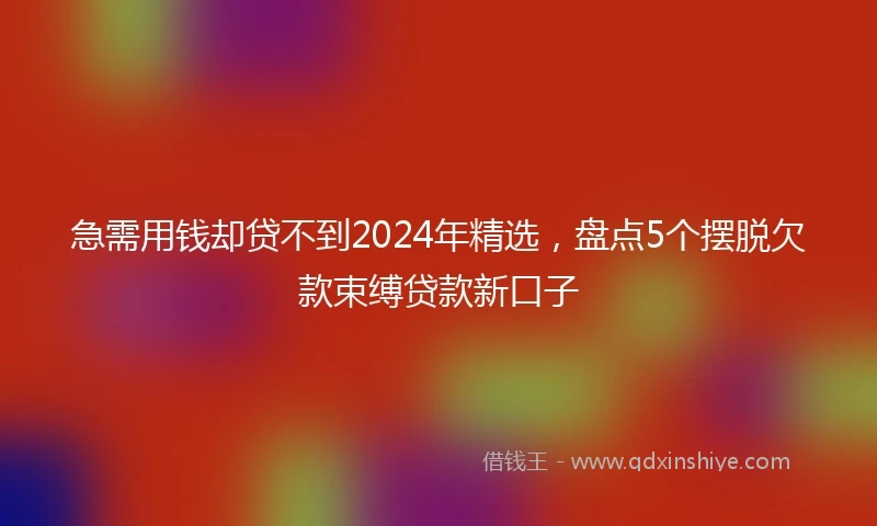 急需用钱却贷不到2024年精选，盘点5个摆脱欠款束缚贷款新口子