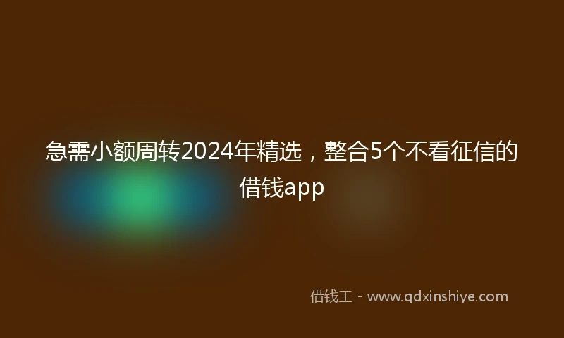 急需小额周转2024年精选，整合5个不看征信的借钱app