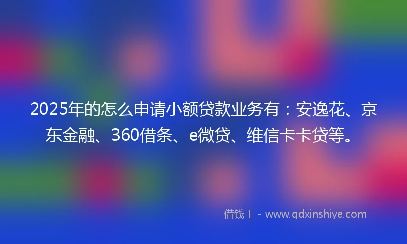 2025年的怎么申请小额贷款业务有：安逸花、京东金融、360借条、e微贷、维信卡卡贷等。