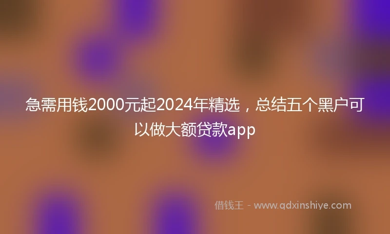 急需用钱2000元起2024年精选，总结五个黑户可以做大额贷款app