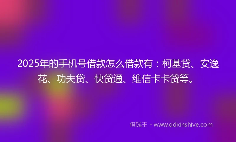 2025年的手机号借款怎么借款有：柯基贷、安逸花、功夫贷、快贷通、维信卡卡贷等。