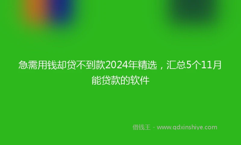 急需用钱却贷不到款2024年精选，汇总5个11月能贷款的软件