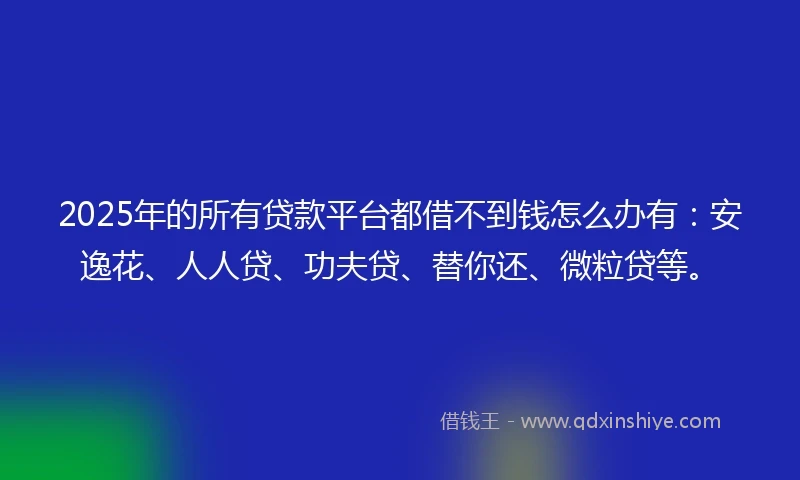 2025年的所有贷款平台都借不到钱怎么办有：安逸花、人人贷、功夫贷、替你还、微粒贷等。