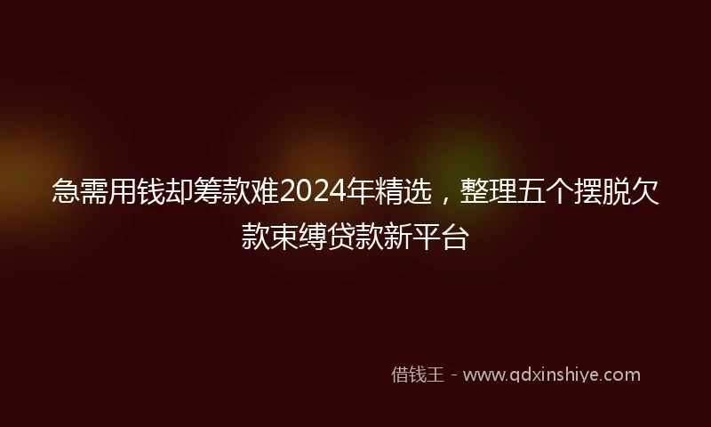 急需用钱却筹款难2024年精选，整理五个摆脱欠款束缚贷款新平台