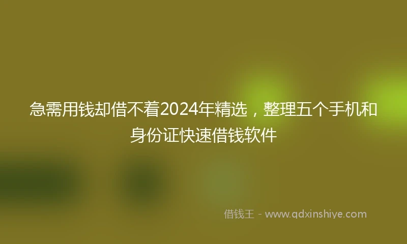 急需用钱却借不着2024年精选，整理五个手机和身份证快速借钱软件