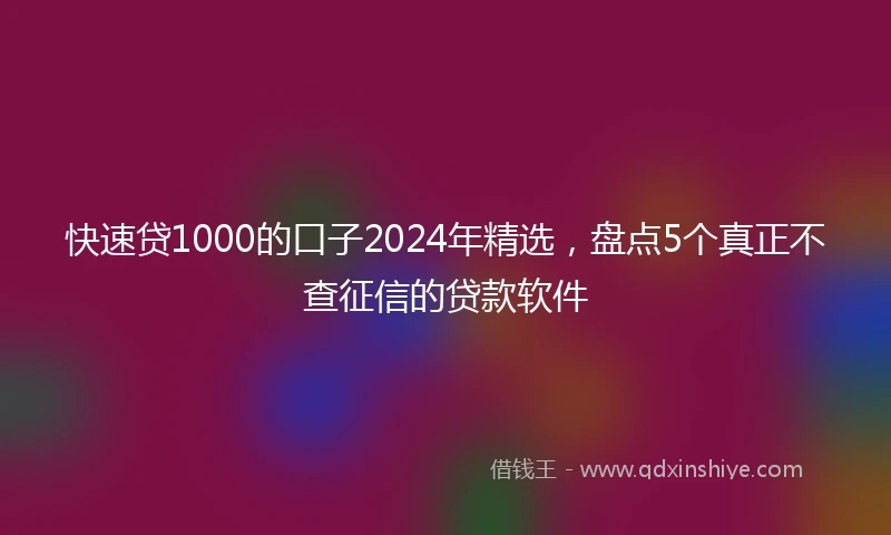 快速贷1000的口子2024年精选，盘点5个真正不查征信的贷款软件