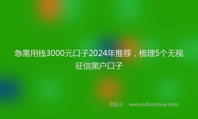 急需用钱3000元口子2024年推荐，梳理5个无视征信黑户口子