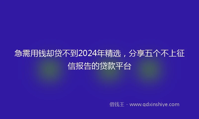 急需用钱却贷不到2024年精选，分享五个不上征信报告的贷款平台