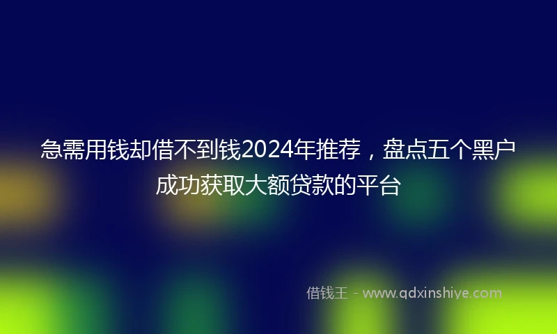 急需用钱却借不到钱2024年推荐，盘点五个黑户成功获取大额贷款的平台