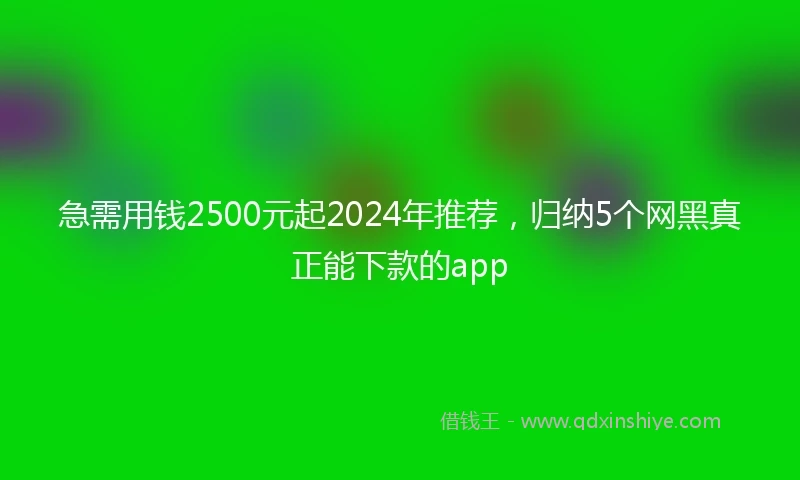 急需用钱2500元起2024年推荐，归纳5个网黑真正能下款的app