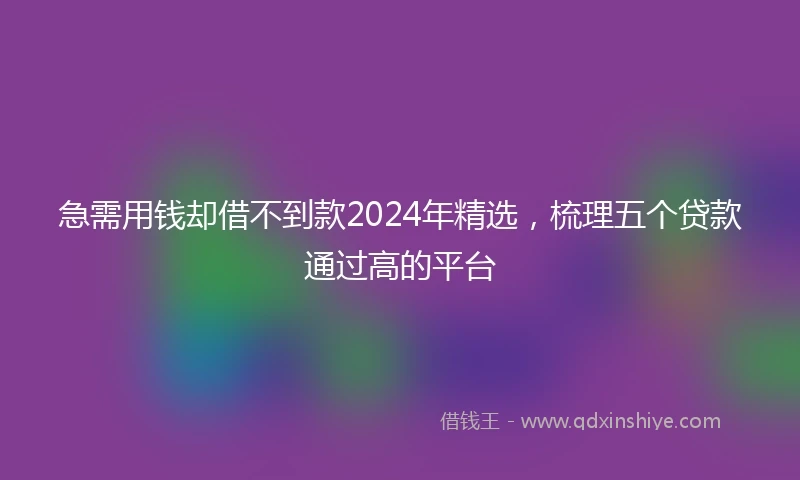 急需用钱却借不到款2024年精选，梳理五个贷款通过高的平台