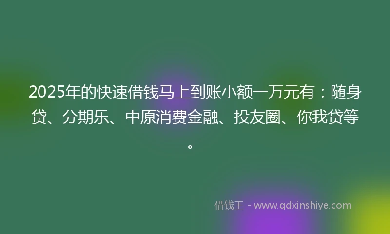 2025年的快速借钱马上到账小额一万元有：随身贷、分期乐、中原消费金融、投友圈、你我贷等。