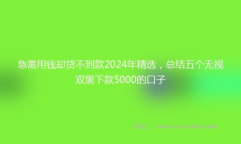 急需用钱却贷不到款2024年精选，总结五个无视双黑下款5000的口子