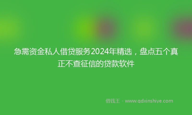 急需资金私人借贷服务2024年精选，盘点五个真正不查征信的贷款软件