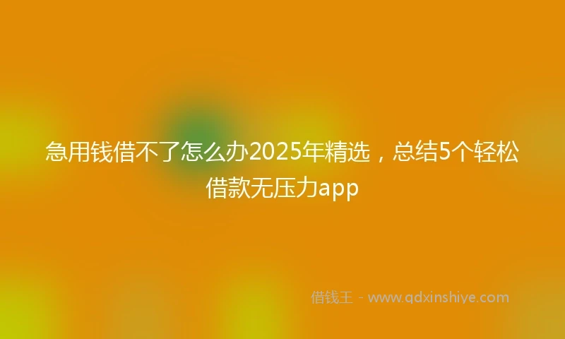 急用钱借不了怎么办2025年精选，总结5个轻松借款无压力app