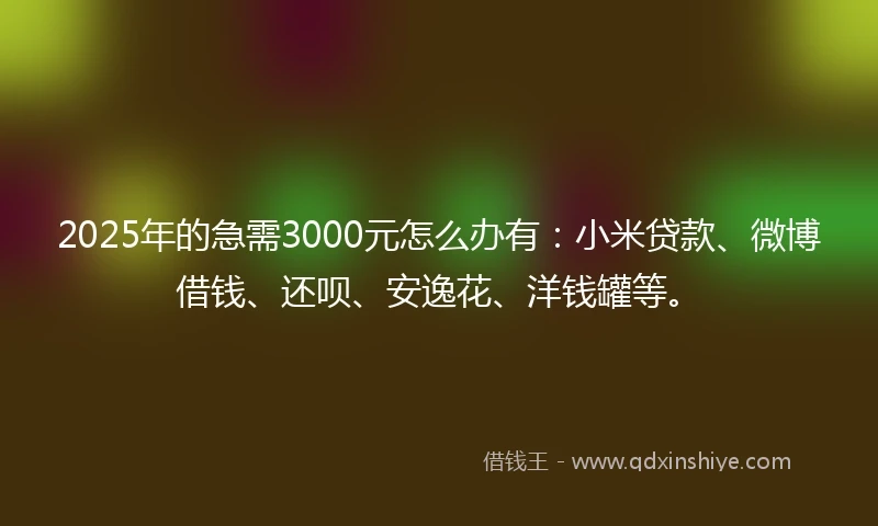 2025年的急需3000元怎么办有：小米贷款、微博借钱、还呗、安逸花、洋钱罐等。