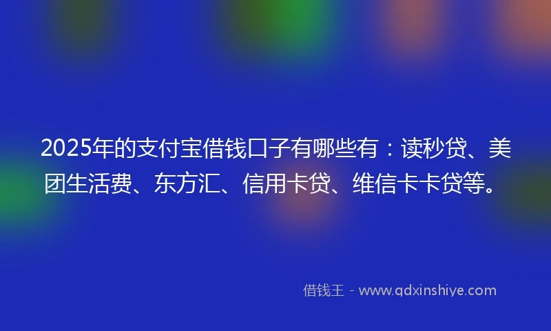 2025年的支付宝借钱口子有哪些有：读秒贷、美团生活费、东方汇、信用卡贷、维信卡卡贷等。
