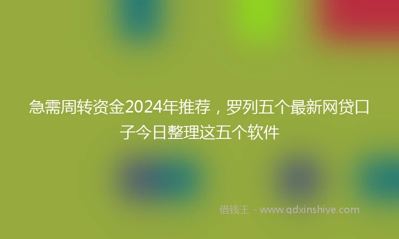 急需周转资金2024年推荐，罗列五个最新网贷口子今日整理这五个软件