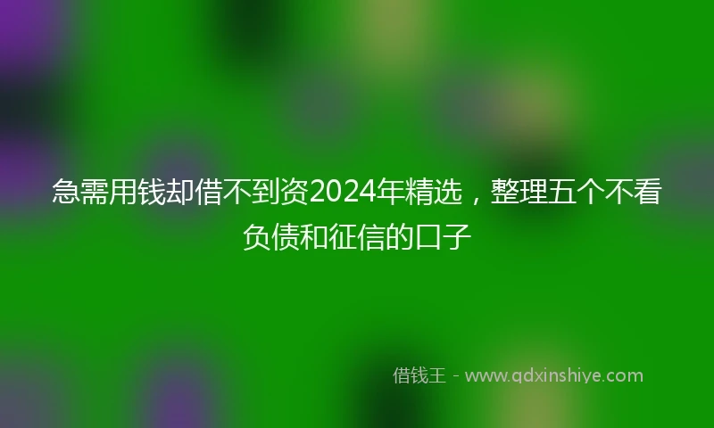 急需用钱却借不到资2024年精选，整理五个不看负债和征信的口子