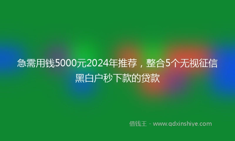 急需用钱5000元2024年推荐，整合5个无视征信黑白户秒下款的贷款