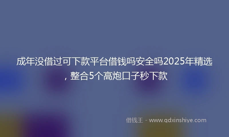 成年没借过可下款平台借钱吗安全吗2025年精选，整合5个高炮口子秒下款