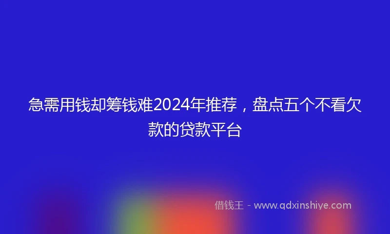 急需用钱却筹钱难2024年推荐，盘点五个不看欠款的贷款平台