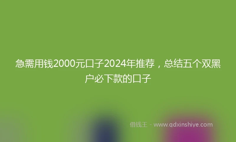 急需用钱2000元口子2024年推荐，总结五个双黑户必下款的口子
