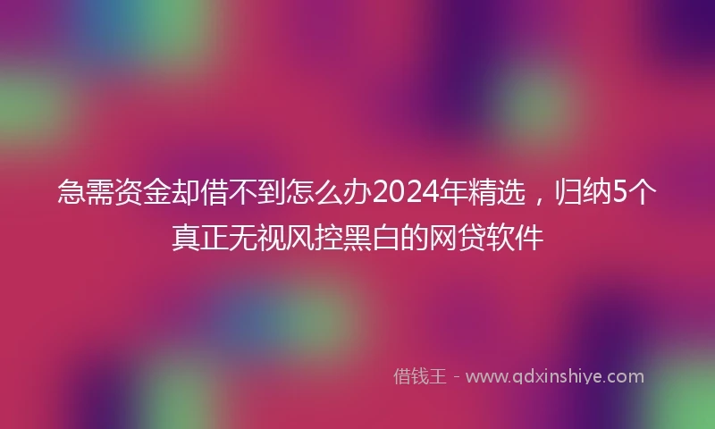 急需资金却借不到怎么办2024年精选，归纳5个真正无视风控黑白的网贷软件