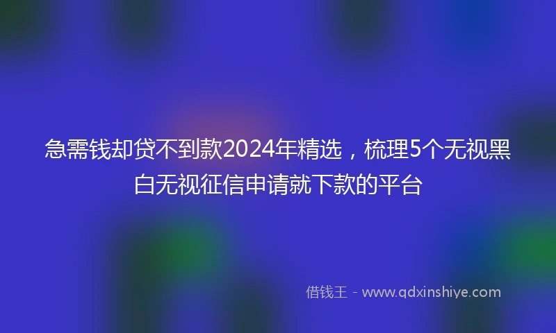 急需钱却贷不到款2024年精选，梳理5个无视黑白无视征信申请就下款的平台