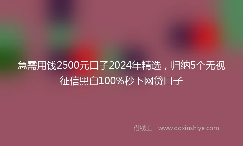 急需用钱2500元口子2024年精选，归纳5个无视征信黑白100%秒下网贷口子