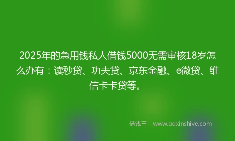 2025年的急用钱私人借钱5000无需审核18岁怎么办有：读秒贷、功夫贷、京东金融、e微贷、维信卡卡贷等。