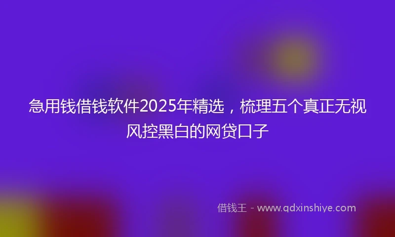 急用钱借钱软件2025年精选,梳理五个真正无视风控黑白的网贷口子