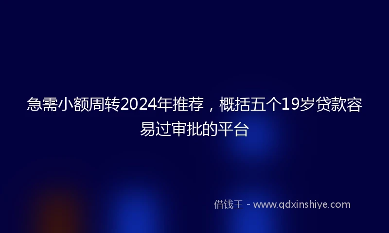 急需小额周转2024年推荐，概括五个19岁贷款容易过审批的平台
