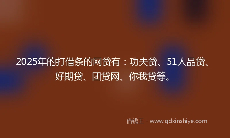 2025年的打借条的网贷有：功夫贷、51人品贷、好期贷、团贷网、你我贷等。