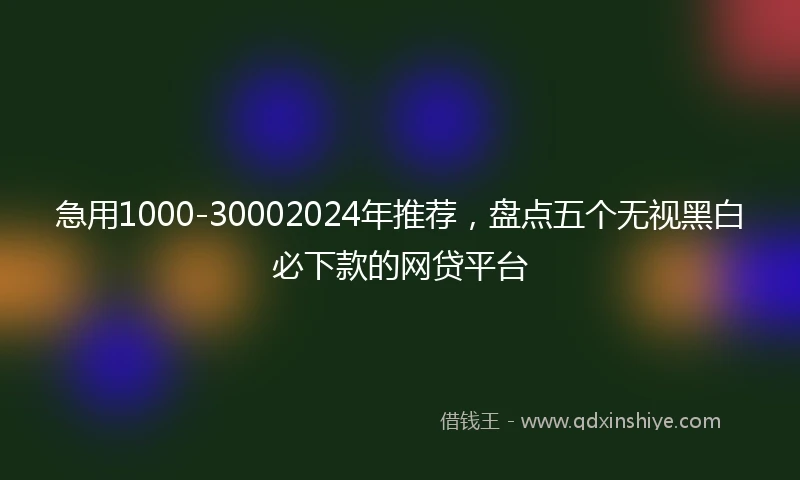急用1000-30002024年推荐，盘点五个无视黑白必下款的网贷平台