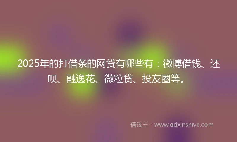 2025年的打借条的网贷有哪些有：微博借钱、还呗、融逸花、微粒贷、投友圈等。
