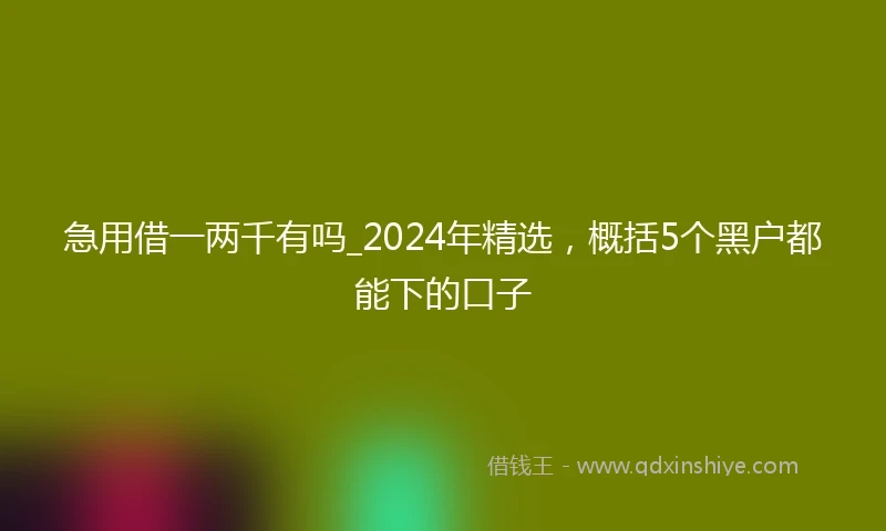 急用借一两千有吗_2024年精选，概括5个黑户都能下的口子
