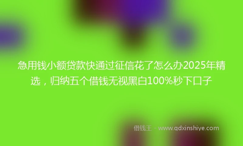 急用钱小额贷款快通过征信花了怎么办2025年精选，归纳五个借钱无视黑白100%秒下口子