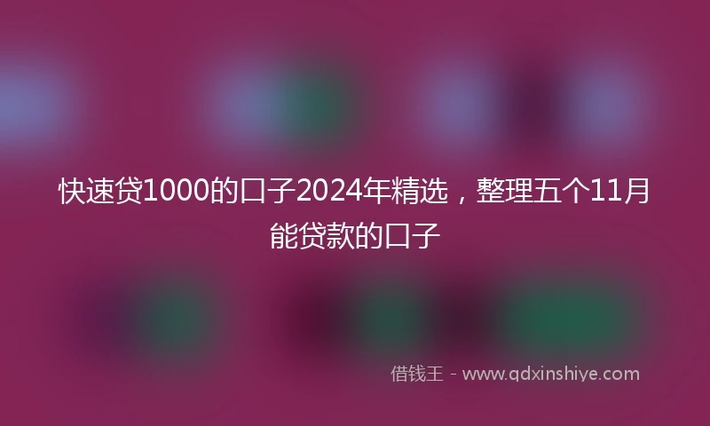 快速贷1000的口子2024年精选，整理五个11月能贷款的口子